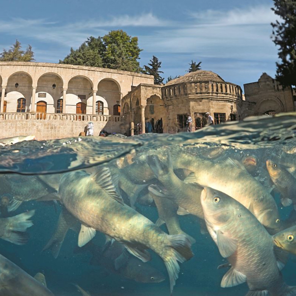 Balıklı Göl