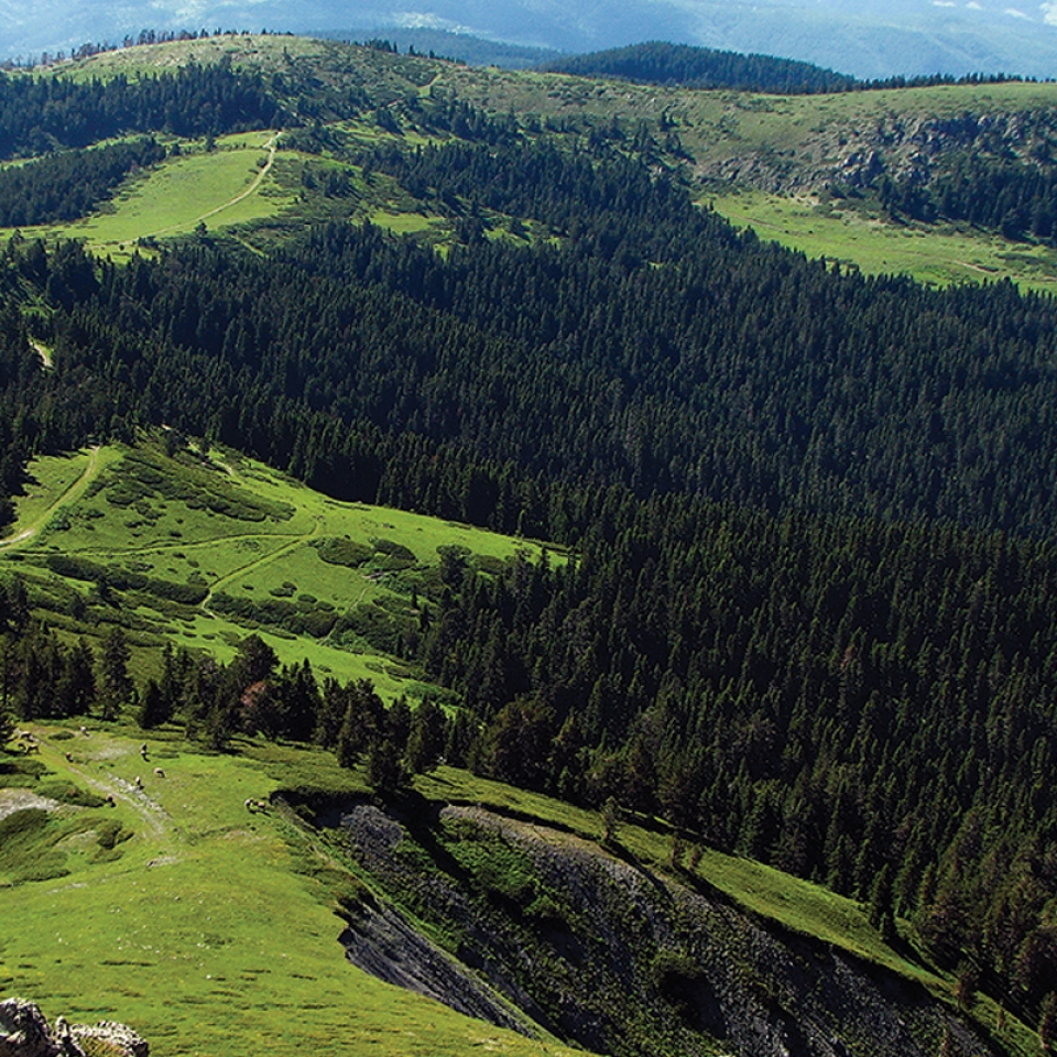 Ilgaz Dağı Milli Parkı