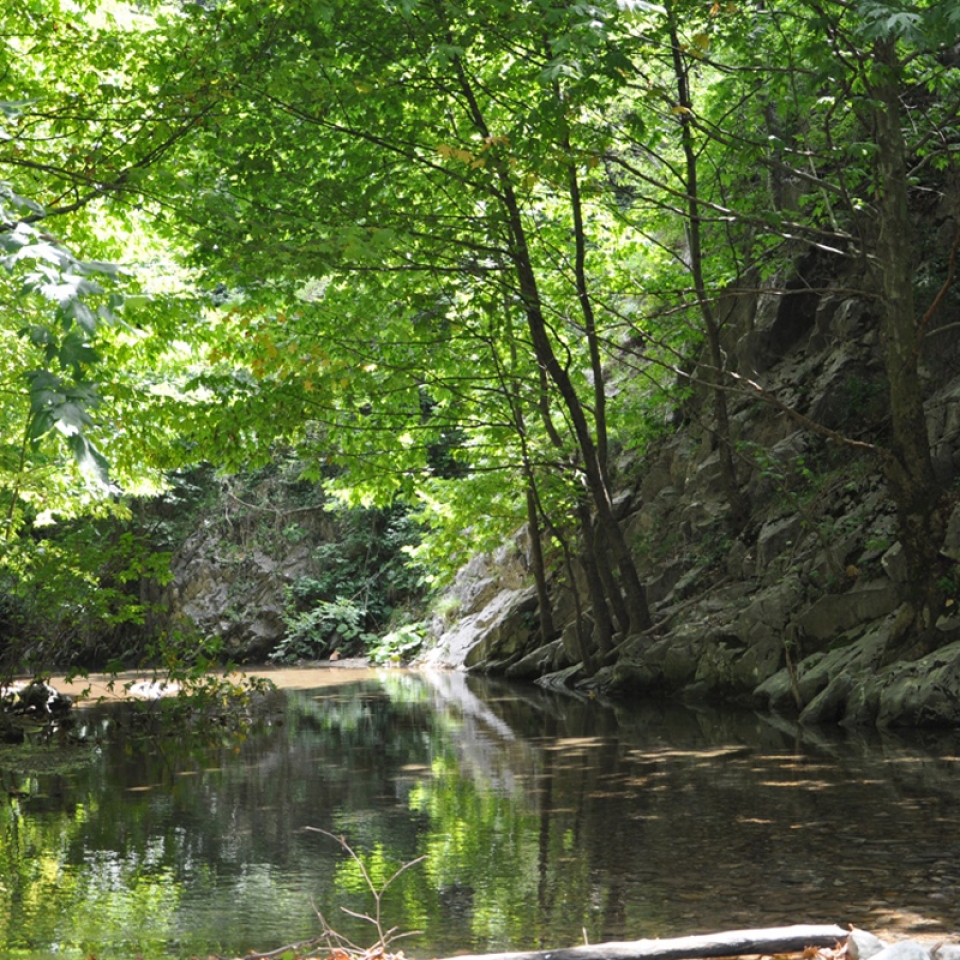 Serindere Kanyonu